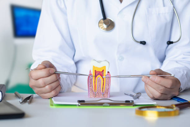Best Emergency Dentist for Knocked-Out Tooth in Monmouth, OR
